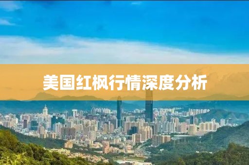 美國紅楓行情深度分析