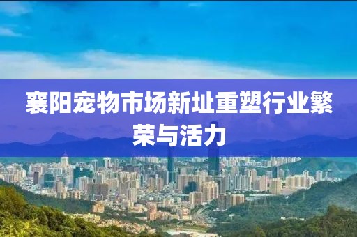 襄陽寵物市場新址重塑行業繁榮與活力