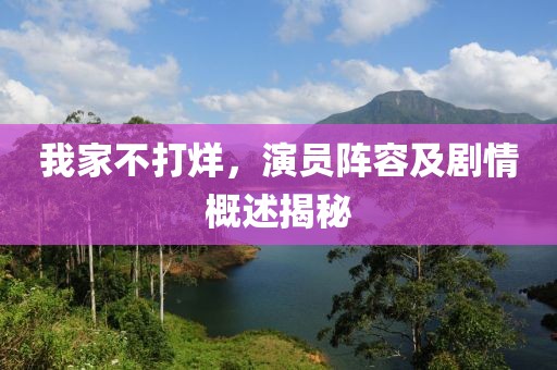 我家不打烊，演員陣容及劇情概述揭秘