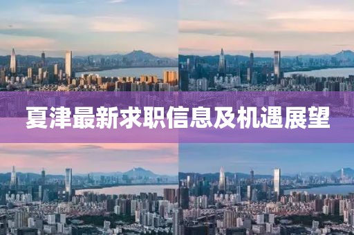 夏津最新求職信息及機遇展望