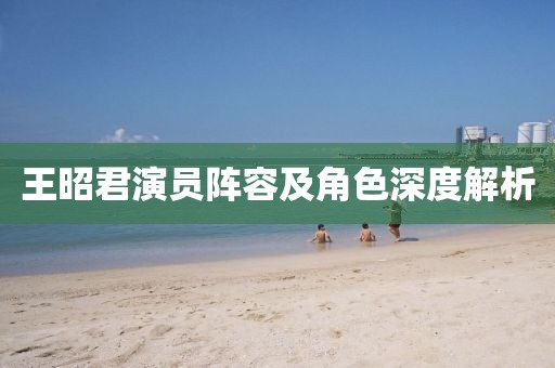 王昭君演員陣容及角色深度解析