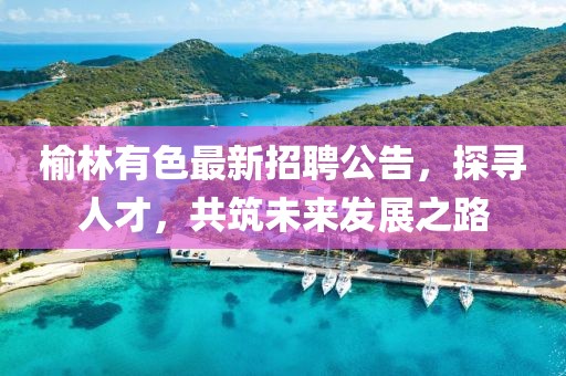 榆林有色最新招聘公告，探尋人才，共筑未來發展之路