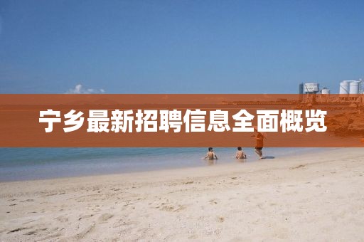 寧鄉最新招聘信息全面概覽