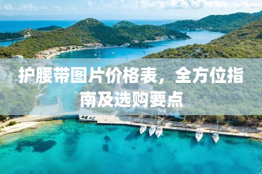 護腰帶圖片價格表，全方位指南及選購要點