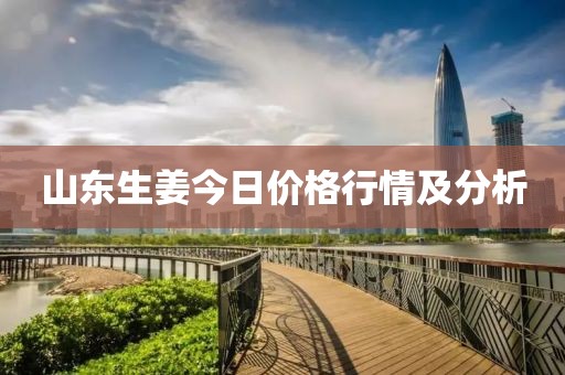 山東生姜今日價格行情及分析