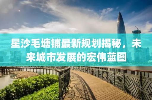 星沙毛塘鋪最新規劃揭秘，未來城市發展的宏偉藍圖