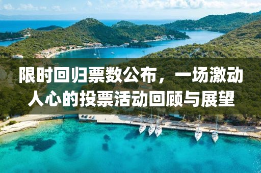 限時回歸票數公布，一場激動人心的投票活動回顧與展望