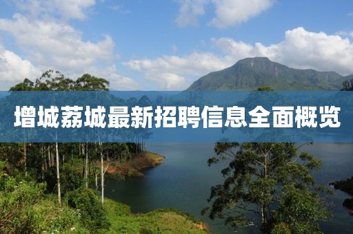 增城荔城最新招聘信息全面概覽