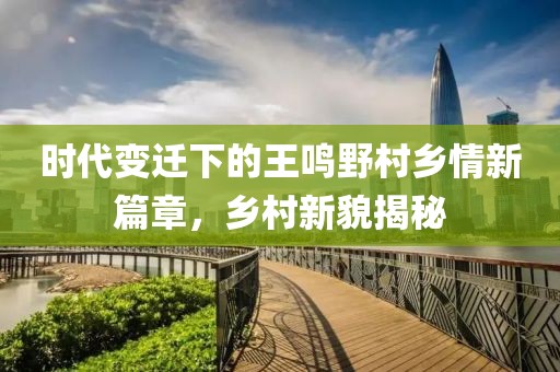 時代變遷下的王鳴野村鄉情新篇章，鄉村新貌揭秘