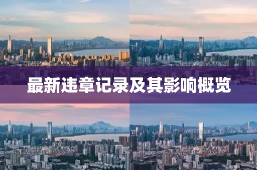 最新違章記錄及其影響概覽