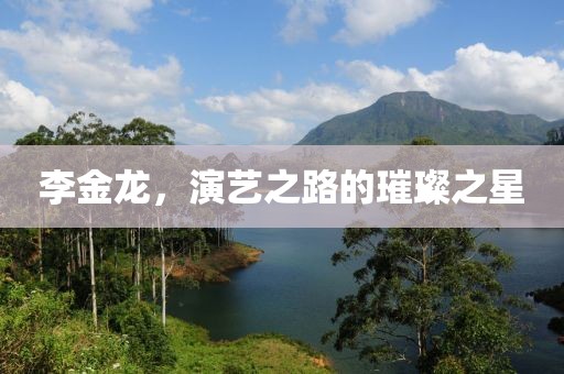 李金龍，演藝之路的璀璨之星