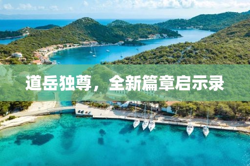 道岳獨尊，全新篇章啟示錄