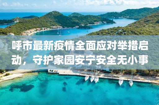 呼市最新疫情全面應對舉措啟動，守護家園安寧安全無小事