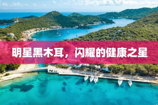 明星黑木耳，閃耀的健康之星