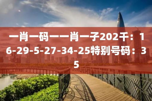 一肖一碼一一肖一子202千：16-29-5-27-34-25特別號碼：35