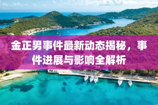 金正男事件最新動態揭秘，事件進展與影響全解析