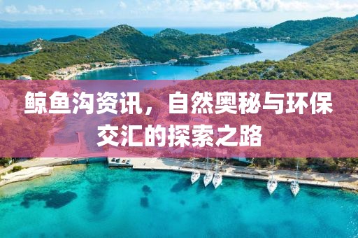 鯨魚溝資訊，自然奧秘與環保交匯的探索之路
