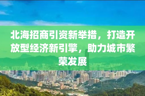北海招商引資新舉措，打造開放型經濟新引擎，助力城市繁榮發展