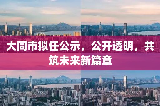 大同市擬任公示，公開透明，共筑未來新篇章