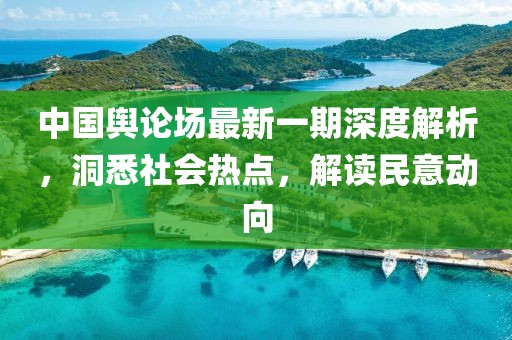中國輿論場最新一期深度解析，洞悉社會熱點，解讀民意動向