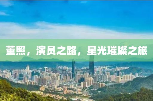 董照，演員之路，星光璀璨之旅