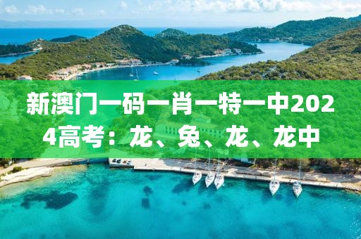 新澳門一碼一肖一特一中2024高考：龍、兔、龍、龍中