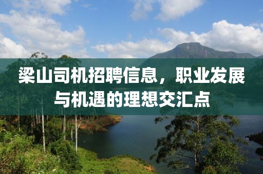 梁山司機招聘信息，職業發展與機遇的理想交匯點