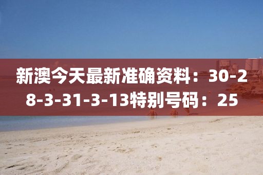 新澳今天最新準確資料：30-28-3-31-3-13特別號碼：25