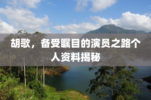 胡歌，備受矚目的演員之路個人資料揭秘