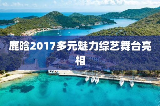 鹿晗2017多元魅力綜藝舞臺亮相