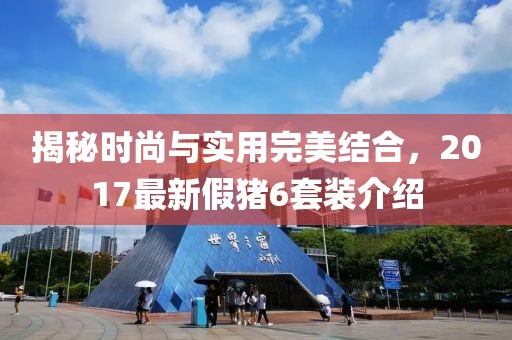 揭秘時尚與實用完美結合，2017最新假豬6套裝介紹