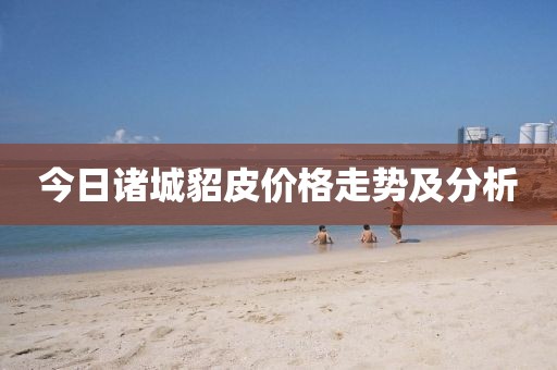 今日諸城貂皮價格走勢及分析