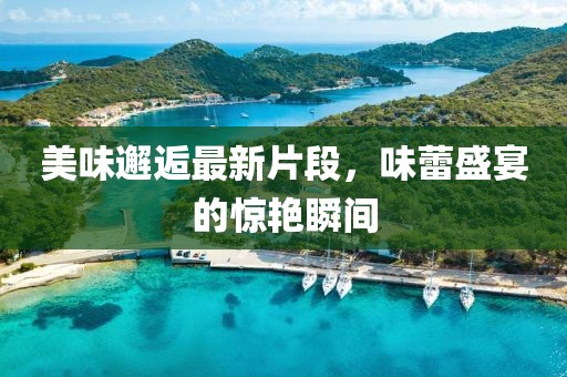 美味邂逅最新片段，味蕾盛宴的驚艷瞬間