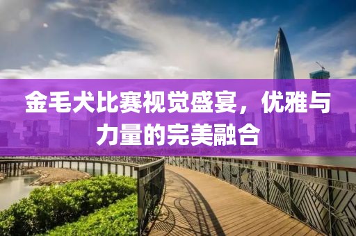 金毛犬比賽視覺盛宴，優雅與力量的完美融合