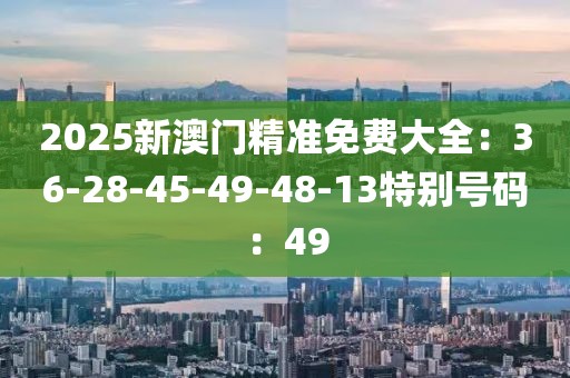 2025新澳門精準免費大全：36-28-45-49-48-13特別號碼：49