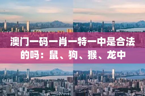 澳門一碼一肖一特一中是合法的嗎：鼠、狗、猴、龍中