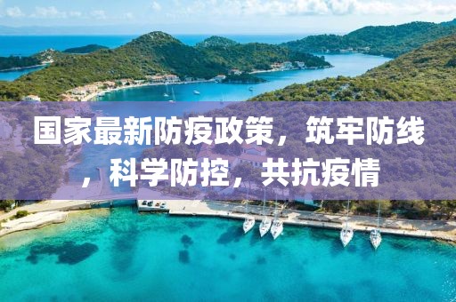 國家最新防疫政策，筑牢防線，科學防控，共抗疫情