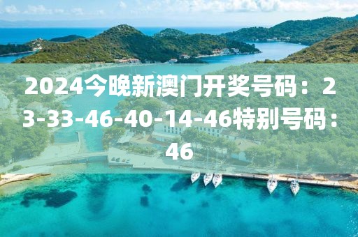 2024今晚新澳門開獎號碼：23-33-46-40-14-46特別號碼：46
