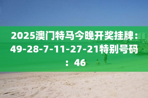 2025澳門特馬今晚開獎掛牌：49-28-7-11-27-21特別號碼：46