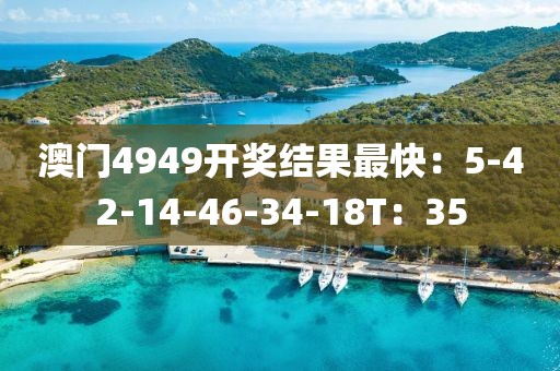 澳門4949開獎結果最快：5-42-14-46-34-18T：35