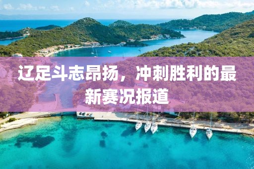 遼足斗志昂揚，沖刺勝利的最新賽況報道