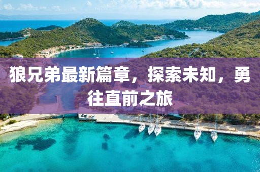 狼兄弟最新篇章，探索未知，勇往直前之旅