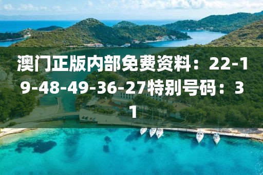 澳門正版內部免費資料：22-19-48-49-36-27特別號碼：31