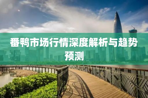 番鴨市場行情深度解析與趨勢預測