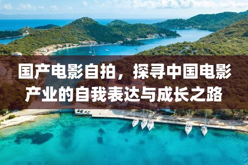 國產電影自拍，探尋中國電影產業的自我表達與成長之路