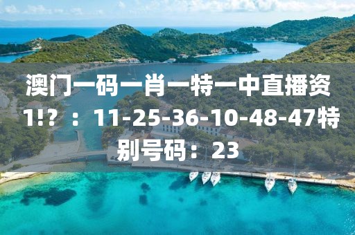 澳門一碼一肖一特一中直播資 1!？：11-25-36-10-48-47特別號碼：23