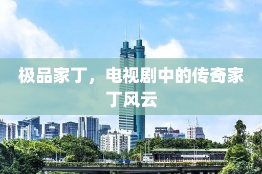 極品家丁，電視劇中的傳奇家丁風云