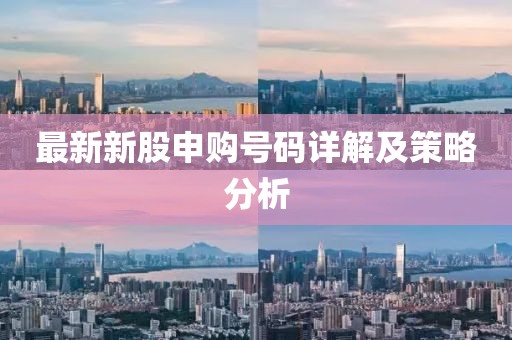 最新新股申購號碼詳解及策略分析