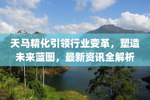 天馬精化引領行業變革，塑造未來藍圖，最新資訊全解析