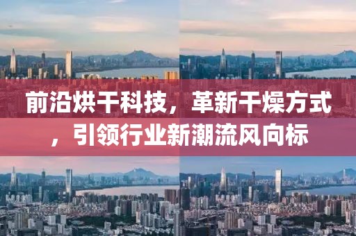 前沿烘干科技，革新干燥方式，引領行業新潮流風向標